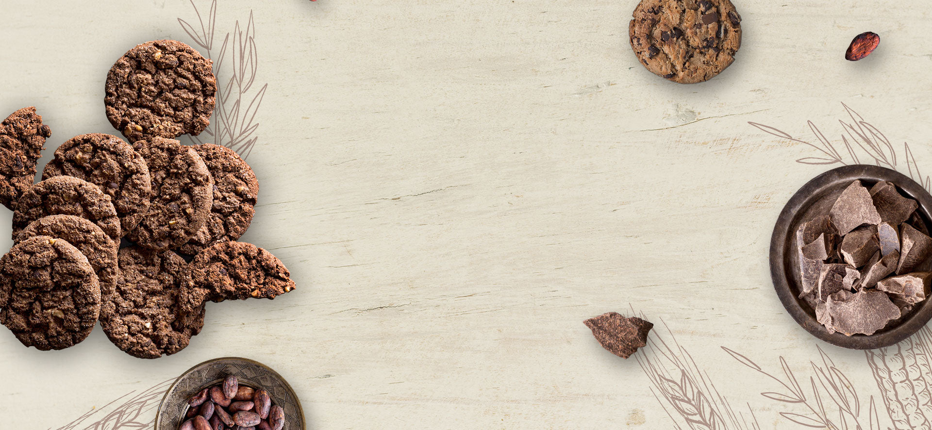 collection-banner-image